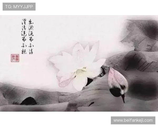 《苏东坡》:一场穿越千年的风雅颂,文人风骨与人生况味