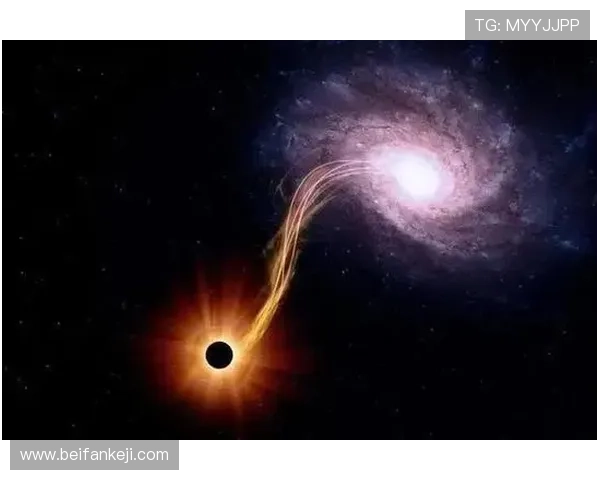 《黑洞》:当悬疑剧的“黑洞”吞噬一切,你敢不敢跳?